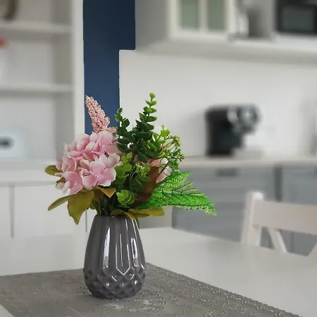 Rosenberg Apartman *