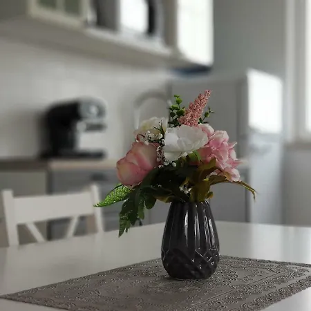 Apartman Rosenberg *