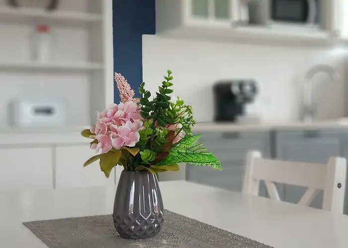 Rosenberg Apartment *